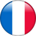 French flag icon